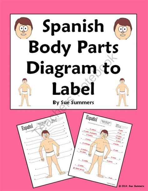 This lesson deals with the new words. Spanish Body Parts Diagram to Label with 20 Body Parts ...
