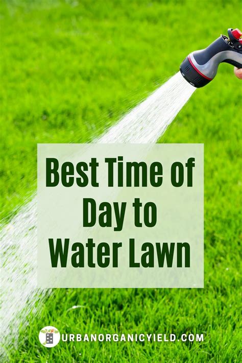 Scheduling The Best Time To Water A Lawn Lawn Care Diy Green Lawn
