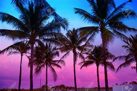 Miami Beach South Beach Sunset Palm Trees In Ocean Drive Florida In