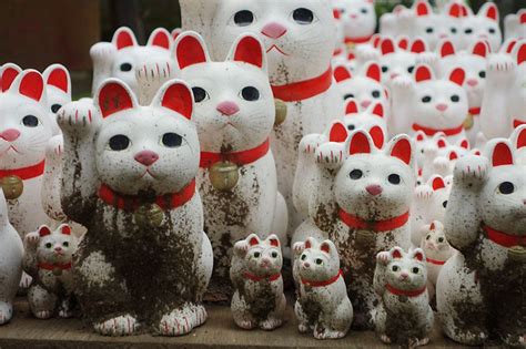 Manekineko Las Figuritas De Gatos De La Suerte De Japón