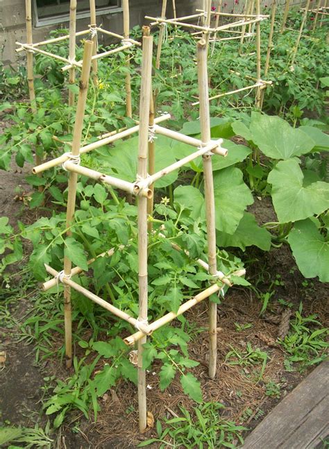 Diy Tomato Cage Ideas ~ Page 4 Of 8 ~ Bless My Weeds