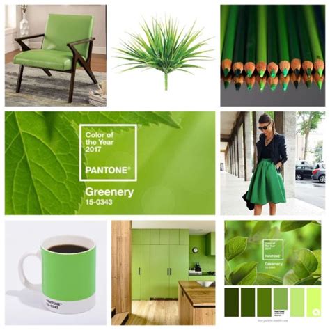 Introducing Greenery Color Of The Year 2017 Pantone Color Of The