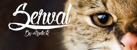 Albertsthal typewriter font | dafont.com. Serval | dafont.com
