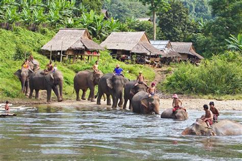The Elephant Journey 11 Days The Best Laos Holiday Package 2023