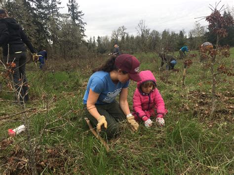 Elijah Bristow State Park Scotch Broom Pull Middle Fork Willamette