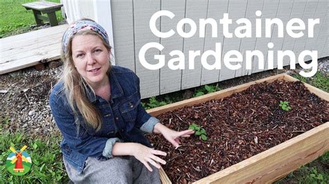 Container Gardening For Beginners Youtube