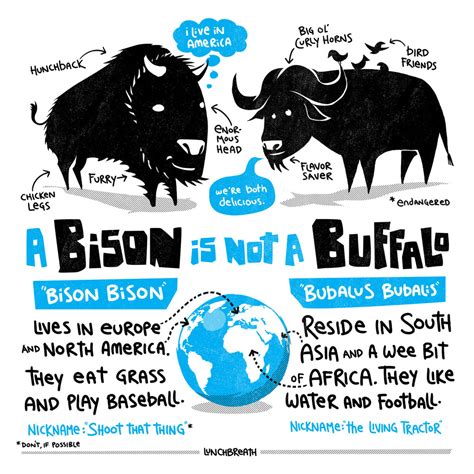 On The Powder Life Hacks Pro Tips And Random Info Bison Vs Buffalo