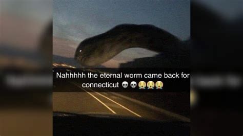 The Eternal Worm Came Back For Connecticut Know Your Meme