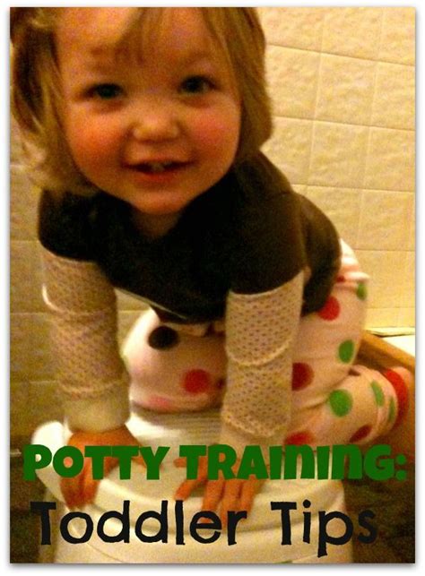 Potty Training Tips And Tools For Toddlers