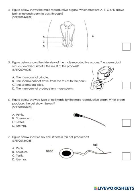 Male Female Reproductive System Worksheet Live Worksheets