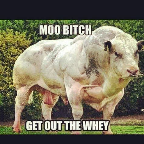 Because of many reasons, people fall in love with funny weird memes. 9 best Funny Protein Memes images on Pinterest | Jokes ...