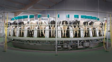 Gea Dairyproqgea Applications Dealer In Embro Performance Dairy Centre