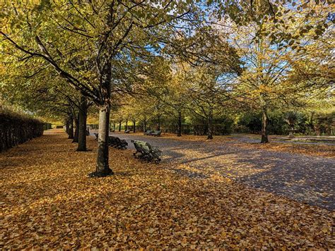 The Glorious Sight Of Autumn In Regents Park London In 20 Photos