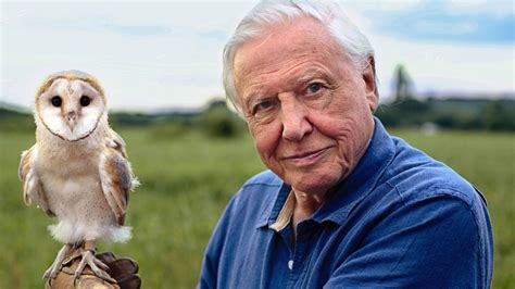 Sir David Attenborough Se Ntoarce La Bbc Cu Dynasty Tvmania Ro