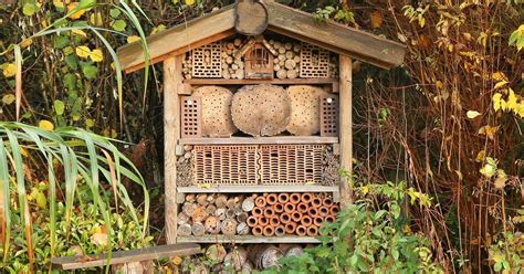 Ein teich im garten ist für viele insekten lebenswichtig. Insektenhotel aufstellen: Der ideale Standort ...