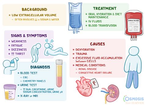 Hypovolemia What Is It Causes Signs And More Osmosis