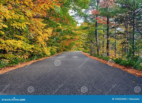 Autumn Scene With Road Stock Photo Image Of Tree Scenic 155223496