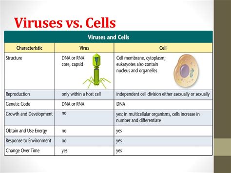 Ppt Prokaryotic Cells Eukaryotic Cells And Virus Notes Gallery Powerpoint Presentation Id