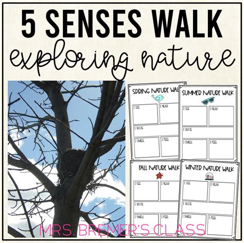 Free 5 Senses Nature Walk Activity In 2021 Nature Walk Activities