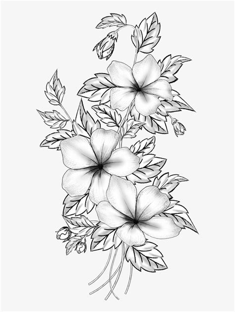Sketch Flower Design