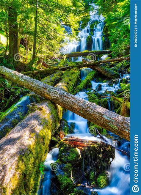Upper Proxy Falls Wilamette National Forest Oregon Stock Photo