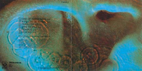 I was just wondering what exactly is on the cover of pink floyds album meddle. Pink Floyd - Fearless - ROCKTRANSLATION.FR
