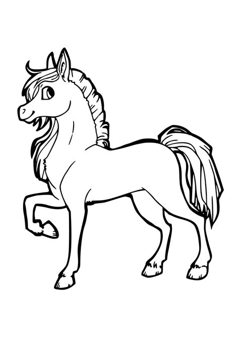 Dibujos para Colorear, Pintar , imprimir.....: CABALLOS