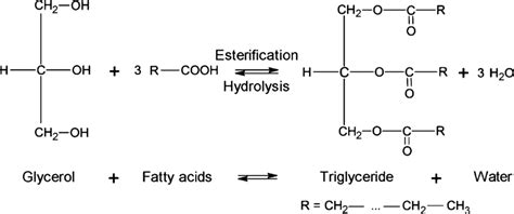 Synthesis Of Triglyceride By Esterification 6 Download Scientific