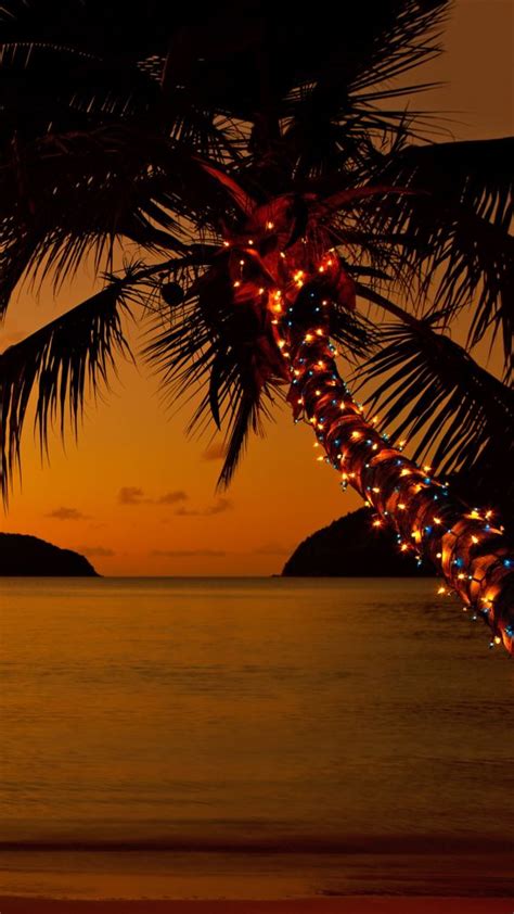 Christmas Lights On A Palm Tree At The Caribbean Beach At Sunset