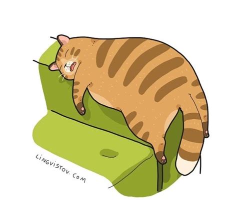 Pin By ˗ˏˋ 𝖆𝖓𝖓𝖊 ˊˎ˗ On Lingvistov Cats Illustration Cat Drawing