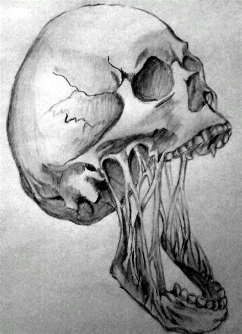 Very Horror Skull Images