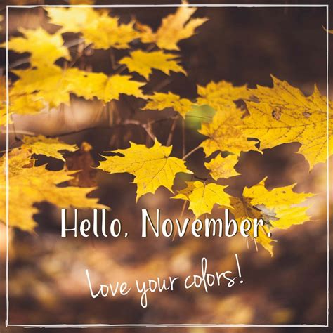 Hello November | Hello november, November colors, November ...