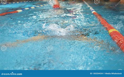Dynamic And Fit Swimmer In Cap Swimming In The Pool Professional Male