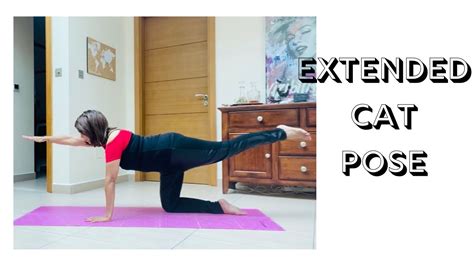 The Extended Balancing Cat Pose Yoga With Vahida Youtube