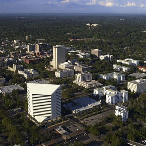 Fun Things To Do In Tallahassee All You Need Infos