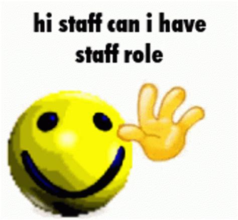 Hi Staff Discord Staff Meme Gif Hi Staff Discord Staff Meme Dingo D Couvrir Et Partager Des Gif