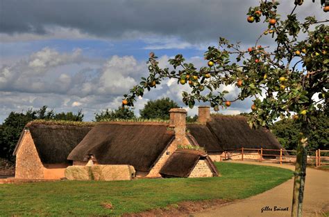 Sous Les Pommiers De Normandie Photo Et Image France Nature World