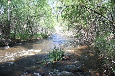 The bear creek lake recreation area is managed by the mississippi river state park. Bear Creek Lake Park - Lakewood, CO | Biking, boating ...