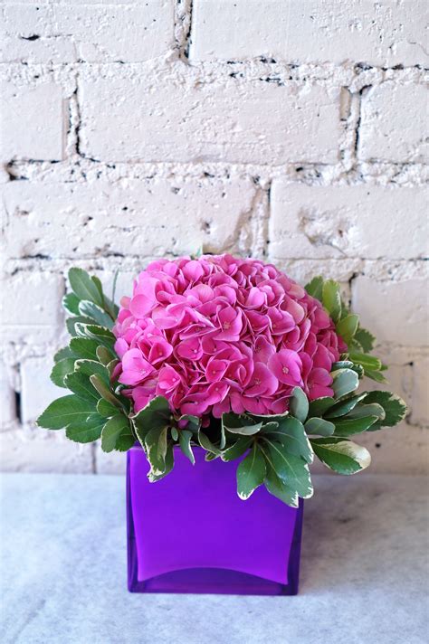 a lovely large pink hydrangea head in a stylish purple glass cube reidsflorists fleurs cubes