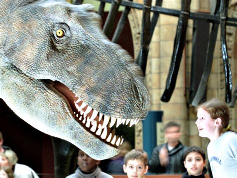 Police Identify Woman Who Performed Sex Act On Model Dinosaur