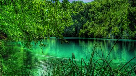 Download Emerald Green Lake And Forest Wallpaper