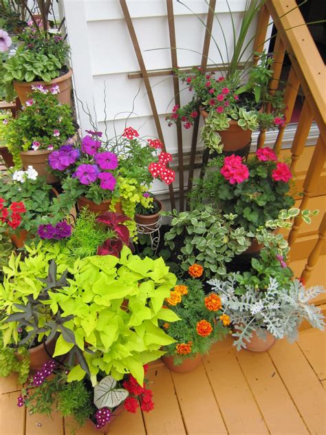 Plantscaping A Deck Or Patio Outdoor Spaces Patio Ideas Decks