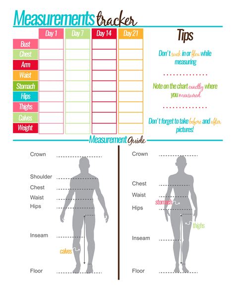 Free Printable Body Measurement Chart ~ Excel Templates