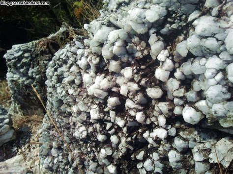 Klang gates quartz ridge is the longest and oldest quartz formation in the world. Bukit Tabur East - Grace Abundant