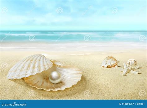 Pearl In An Open Shell Sandy Tropical Beach Stock Image Image Of