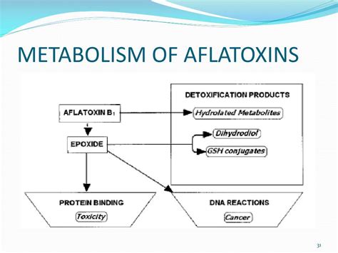 Aflatoxins are poisonous carcinogens and mutagens that are produced by certain molds which grow in soil, decaying vegetation, hay, and grains. PPT - Aflatoxins and fumonisins contamination of food and ...