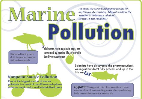 Infographic Marine Pollution And Why We Should Care