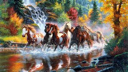 Horses Wild Desktop Wallpapers