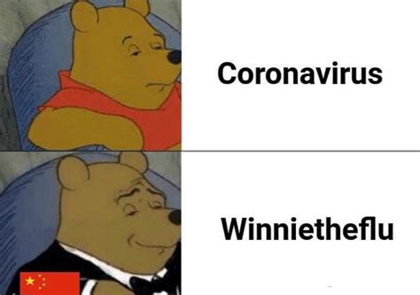 Winnietheflu R Memes