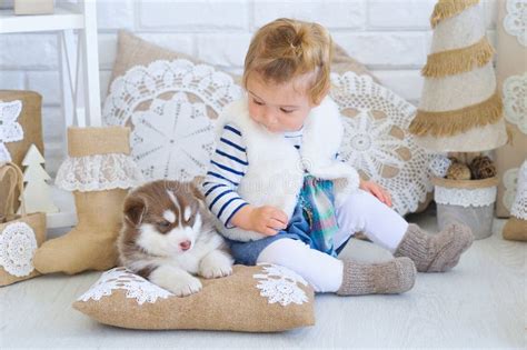 Baby Girl Playing Husky Puppy Stock Image Image Of Playing Husky
